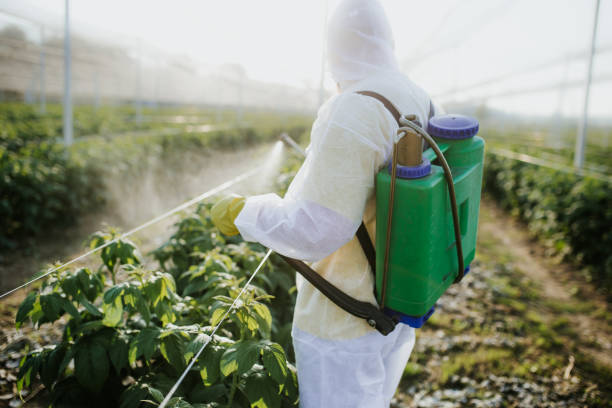 Pest Control for Restaurants in Wymore, NE